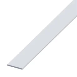 Barra piatta 30x2 allu arg 2m