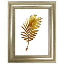 Far Cornice ray 30mm 35x50 argento