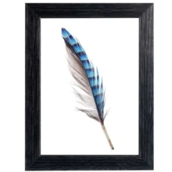 Far Portafoto newman, 20mm, 21x29,7 cm, colore nero