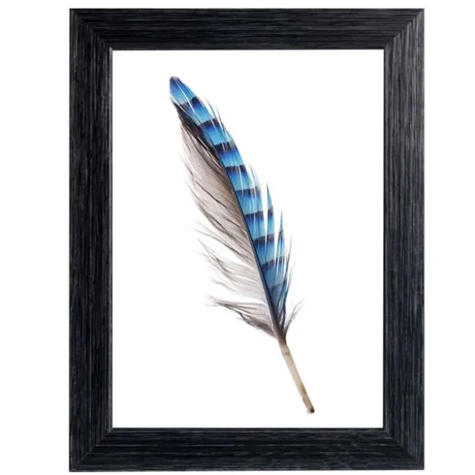 Far Portafoto newman, 20mm, 21x29,7 cm, colore nero