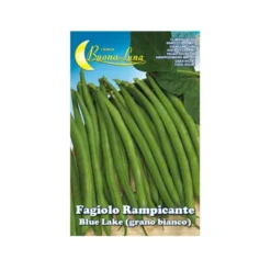 Hortus Fagiolo rampicante blue lake, 250 gr