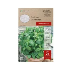 Hortus Semi basilico genovese nastro preseminate