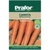 Hortus Semi prafor carota berlicum bio