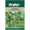 Hortus Semi prafor cicoria zuccherina trieste bio