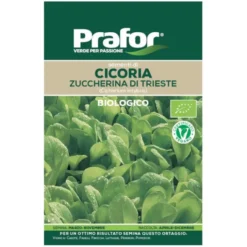 Hortus Semi prafor cicoria zuccherina trieste bio
