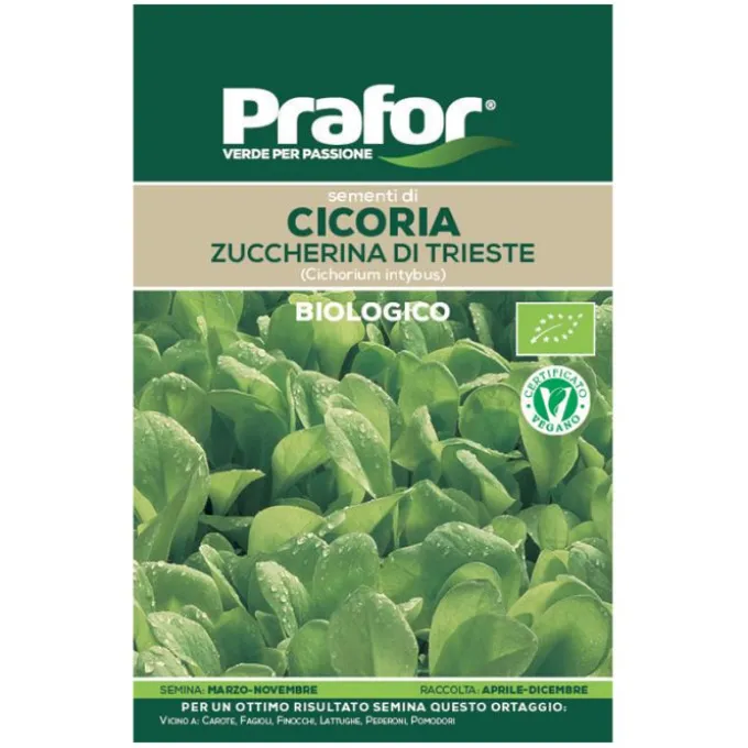 Hortus Semi prafor cicoria zuccherina trieste bio
