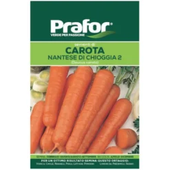 Hortus Semi prafor di carota nantese di chioggia