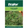 Hortus Semi prafor di lattuga canasta
