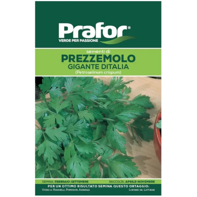 Hortus Semi prafor di prezzemolo gigante d'italia