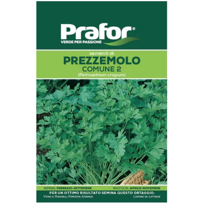 Hortus Semi prafor di prezzemolo comune