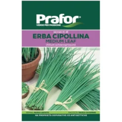 Hortus Semi prafor erba cipollina bts