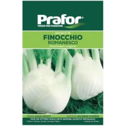 Hortus Semi prafor finocchio romanesco