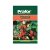 Hortus Semi prafor fragole rampicanti bts