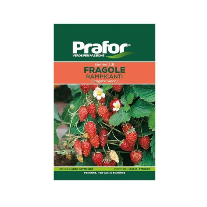 Hortus Semi prafor fragole rampicanti bts