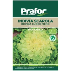 Hortus Semi prafor indivia scarola bionda cuore pieno bio