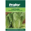 Hortus Semi prafor lattuga bionda ortolan