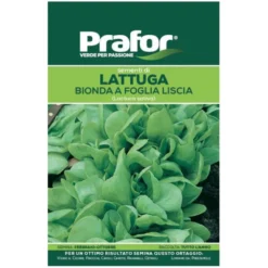 Hortus Semi prafor lattuga bionda f.liscia bts