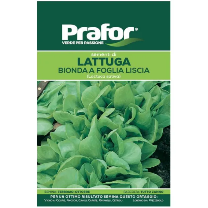 Hortus Semi prafor lattuga bionda f.liscia bts