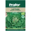 Hortus Semi prafor lattuga regina di maggio bio