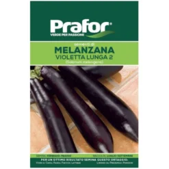 Hortus Semi prafor melanzana violetta lunga 2 bts