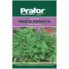 Hortus Semi prafor menta bts