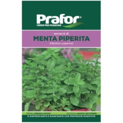 Hortus Semi prafor menta bts