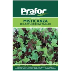Hortus Semi prafor misticanza lattughe taglio r/b bts