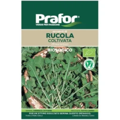 Hortus Semi prafor rucola coltivata bio