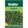 Hortus Semi prafor rucola selvatica bts