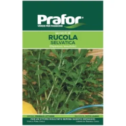 Hortus Semi prafor rucola selvatica bts