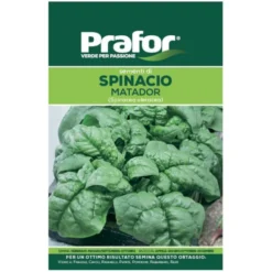 Hortus Semi prafor spinacio matador bts