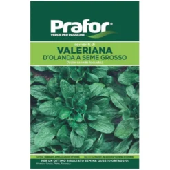 Hortus Semi prafor valeriana d'olanda s.grosso bts