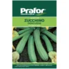 Hortus Semi prafor zucchino genovese bts