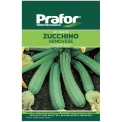 Hortus Semi prafor zucchino genovese bts