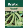Hortus Semi prafor zucchino genovese bio
