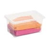 Toomax Contenitore multiuso easy box xs,in plastica trasparente,con coperchio,capienza 5lt,cm 30x20xh.13