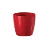 Tuscania Vaso stars, 12 cm, rosso