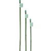 Verdemax Canna bamboo plastificata, Ø 1,2-1,4xh.150 cm, verde